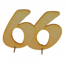 66. Geburtstag