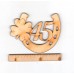 Hufeisen  45. Geburtstag, Jahrestag, Jubiläum