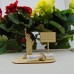 Geldgeschenk für einen Reisetraum nach Amerika Freiheitsstatue mit Ortsschild und Geldscheinhalter 